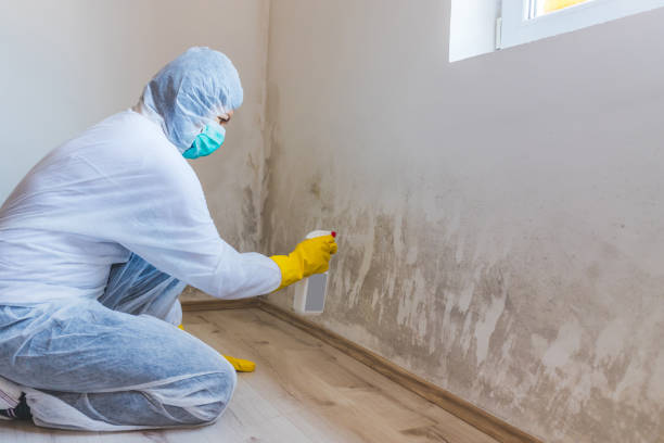 Bathroom Mold Removal assessment in Belmont bathroom